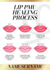 Poster-Lip PMU Healing Process